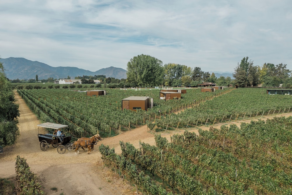 Vibo Wine Lodge