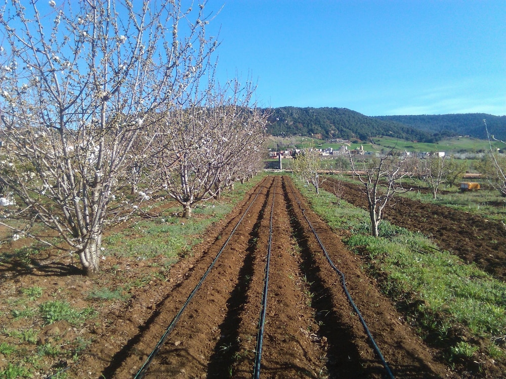 Les Jardins D'Azrou