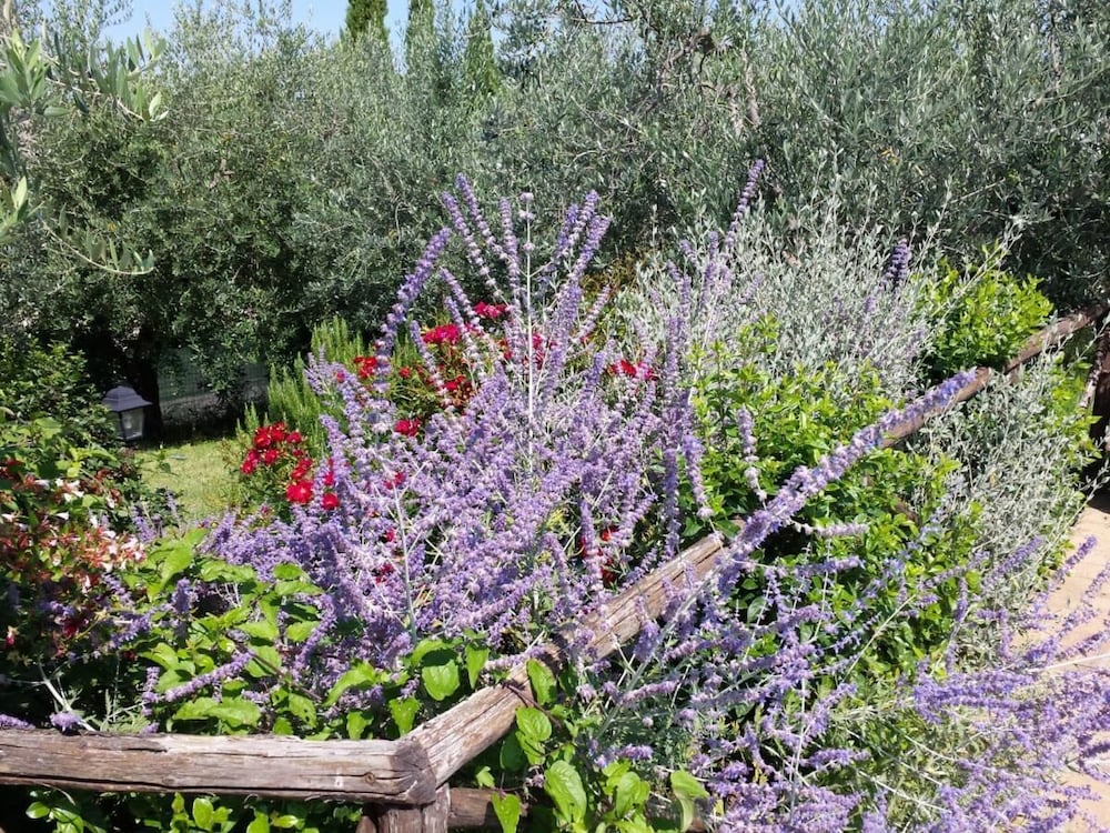 Photo 41