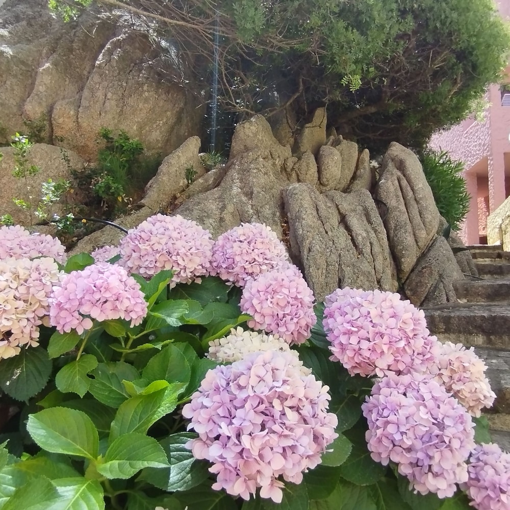 Arzachena Vacations - Seaside Apartment Baja Sardinia - 6pl August - 250 m From Smeraldo Beach ! - Property Image 8