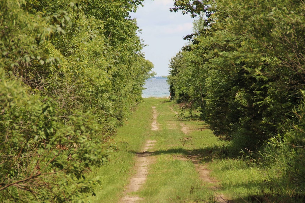 Mackinaw City Vacations - Mackinac Lake Trail Motel - Property Image 9