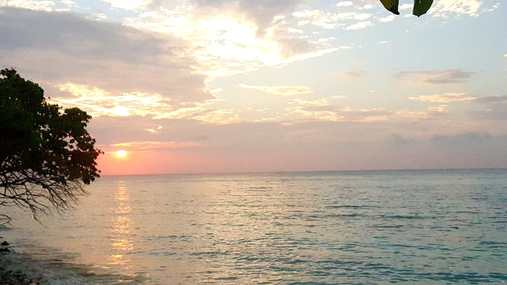 Local Travel Beach