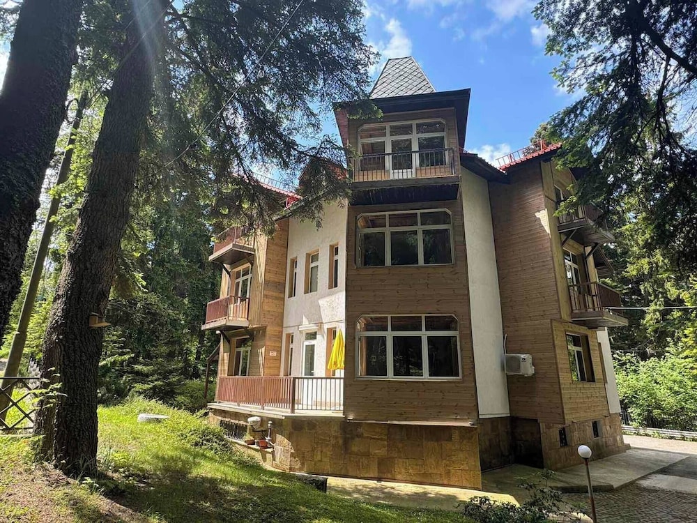 The Forest Villa Borovets1