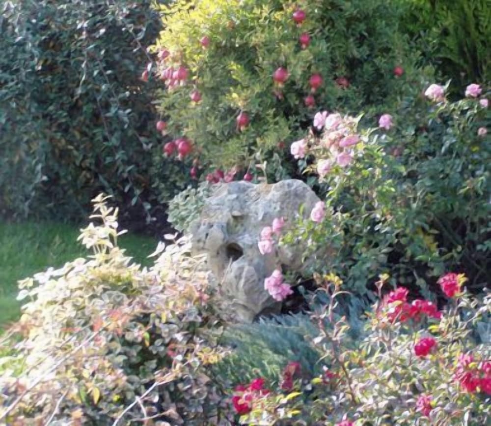 Photo 37