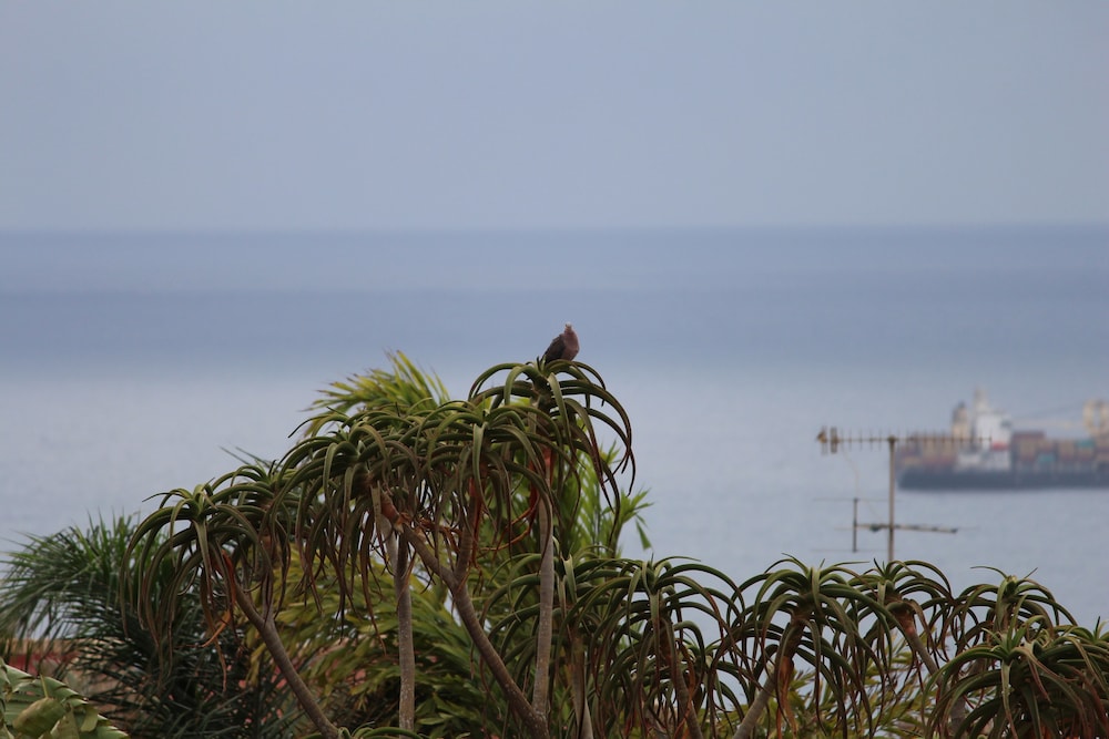 Milkwood Mansion