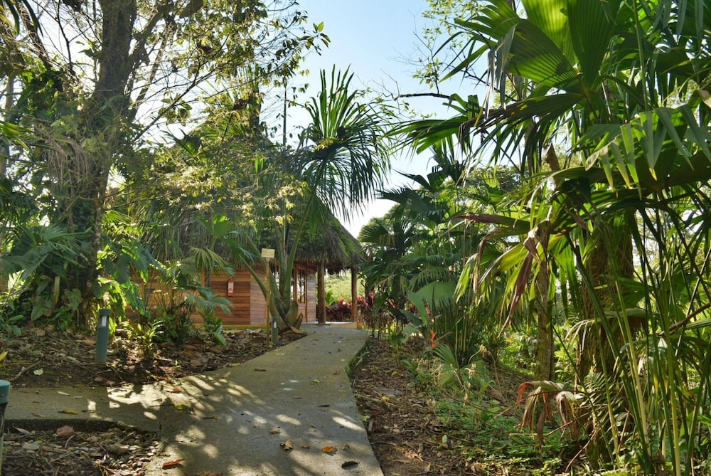 Photo 40