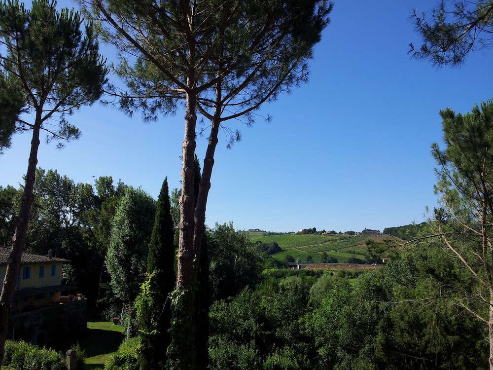 Bassetto Guesthouse & Apartments