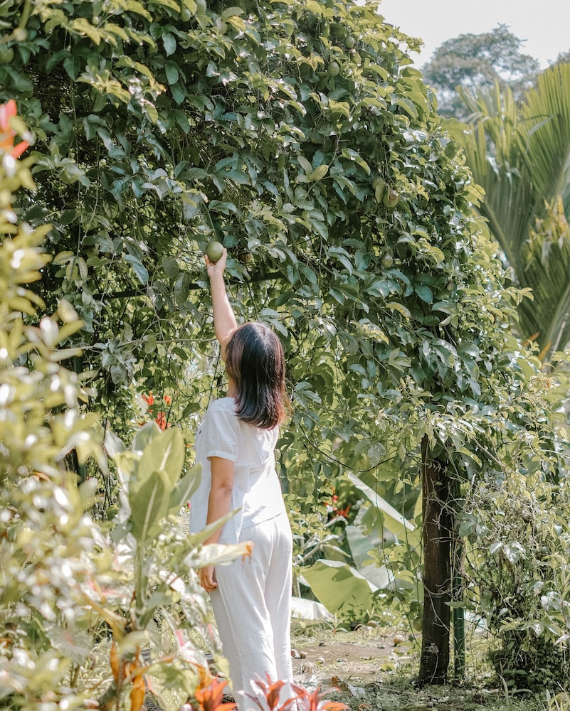 Song Broek Jungle Resort