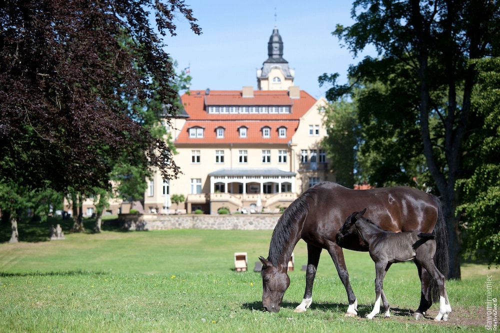 Ferienhaus Nahe Winstongolf Schwerin