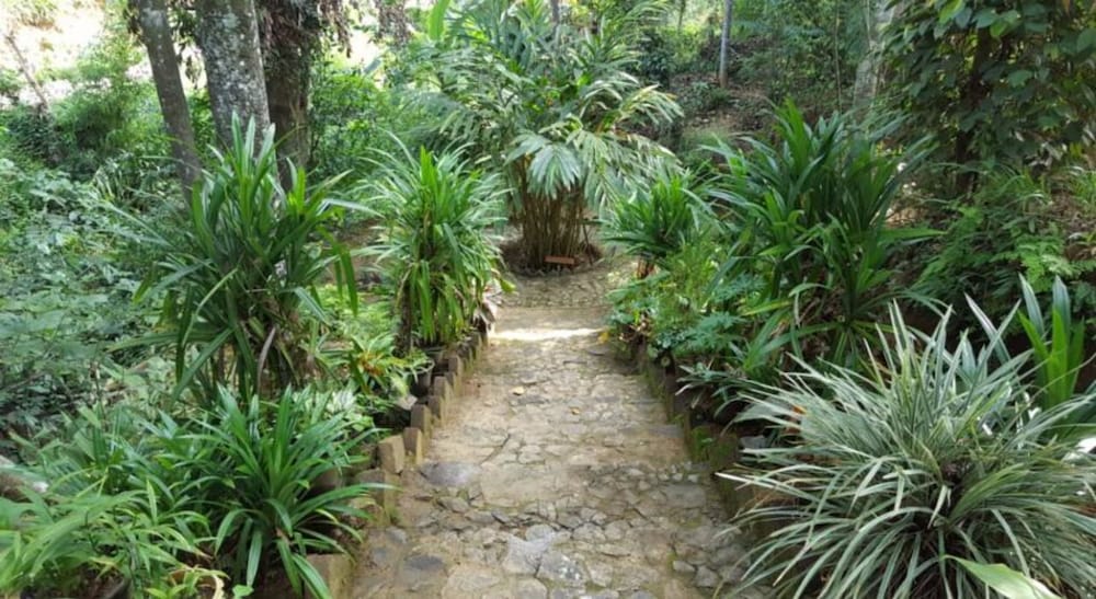 Lizzie Villa Guest House