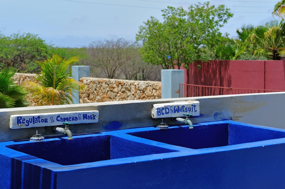 Oasis Guesthouse Bonaire Superior Suite