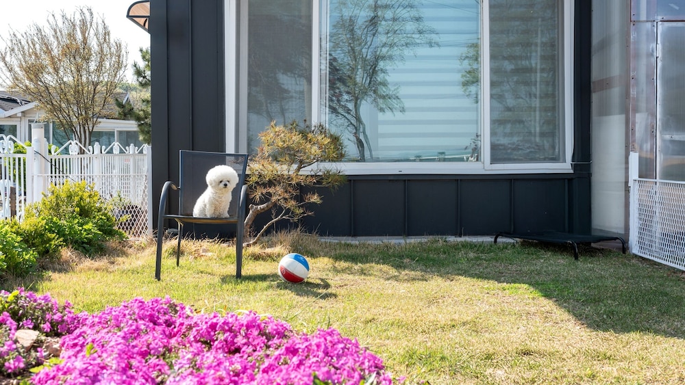 Yeongheungdo Sunset Spa Pension