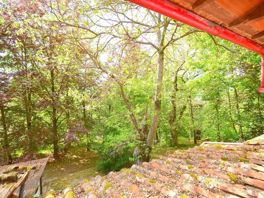 Spacious Home With Shared Pool view 3