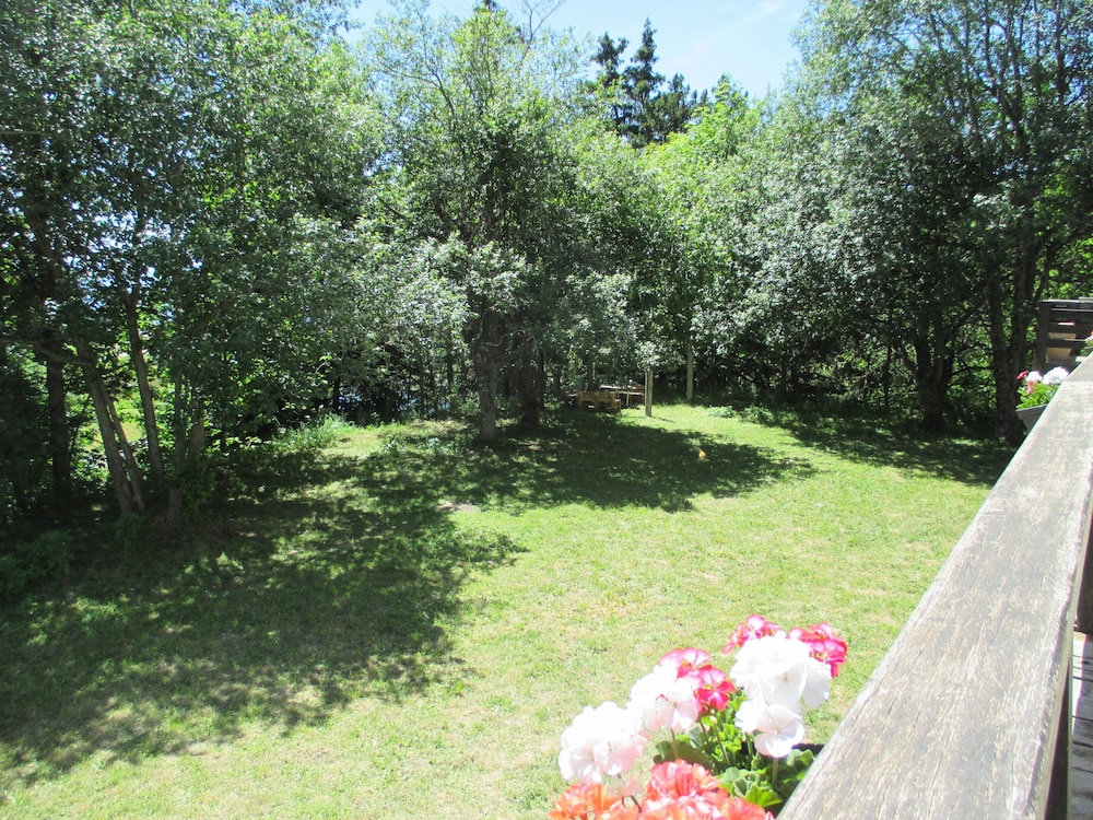 Photo 33