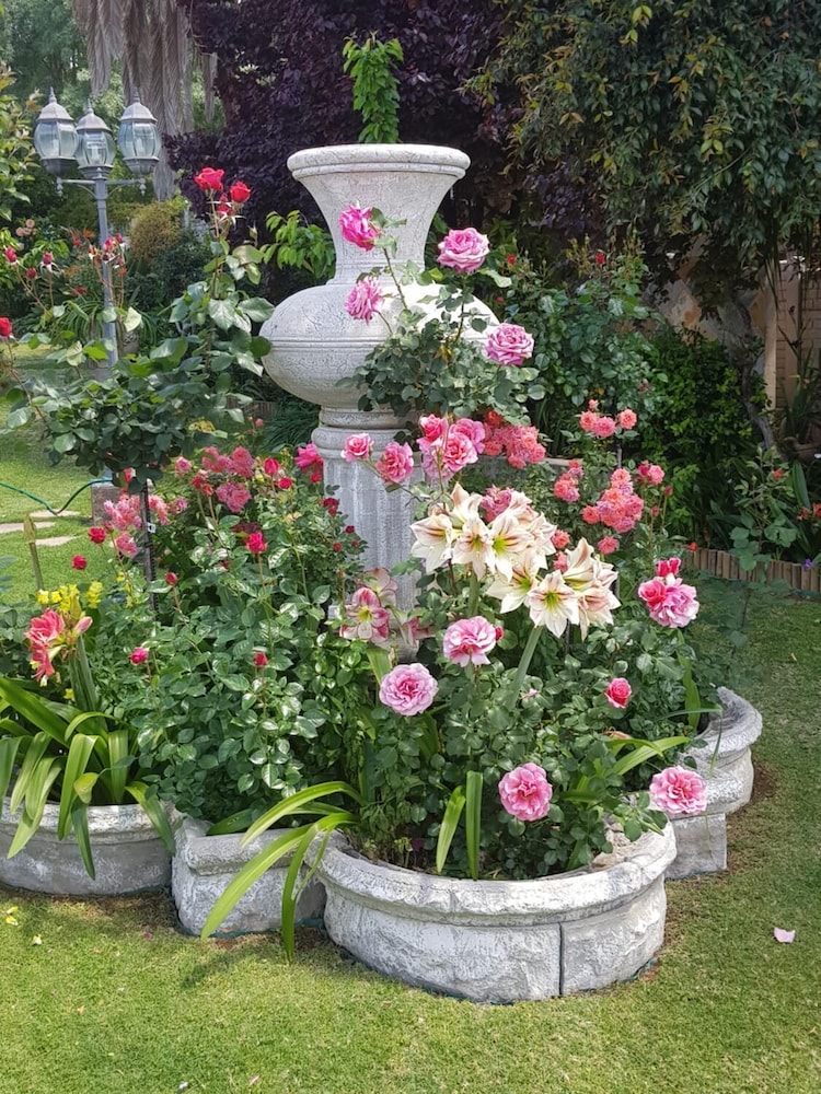 Terra Bianca