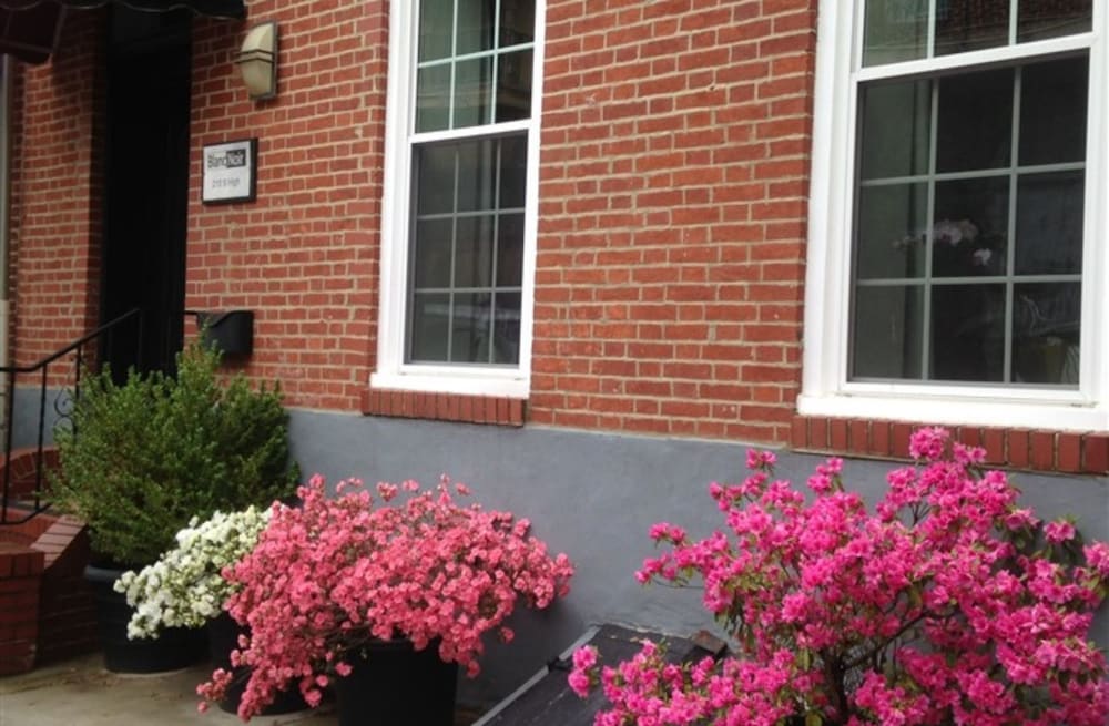BlancNoir Bed & Breakfast