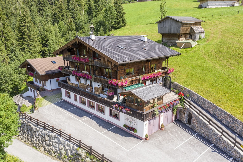 Alpbach Bergwald