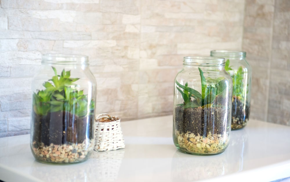 Photo 34