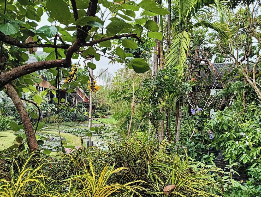 O yua Resort