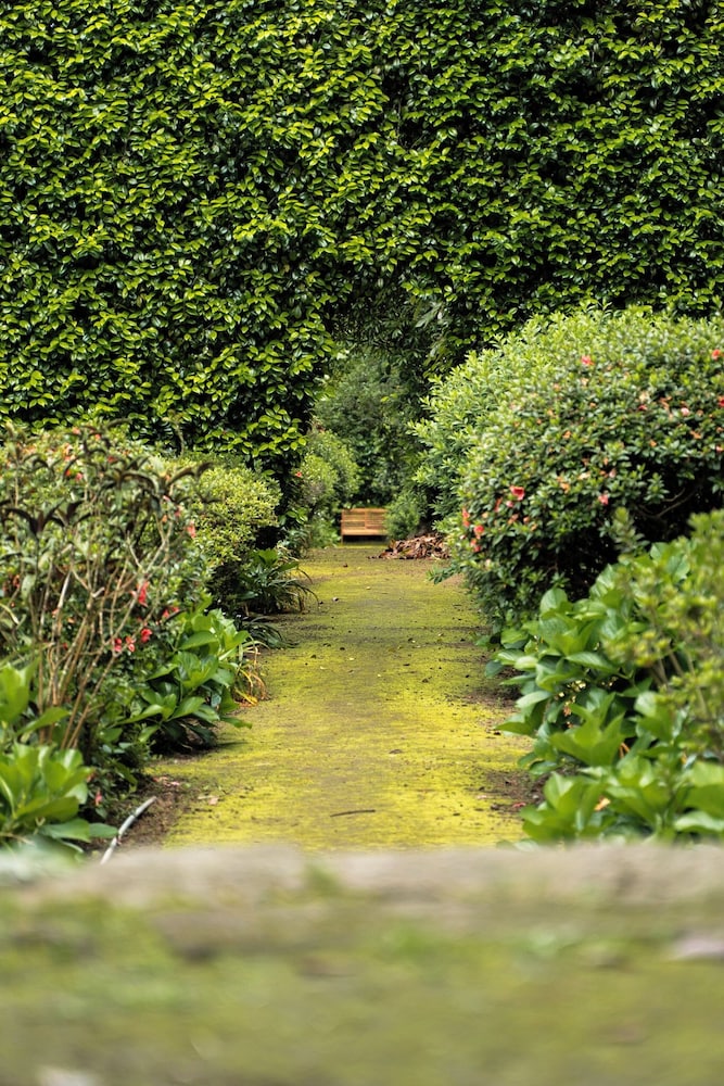Azores Green Villas