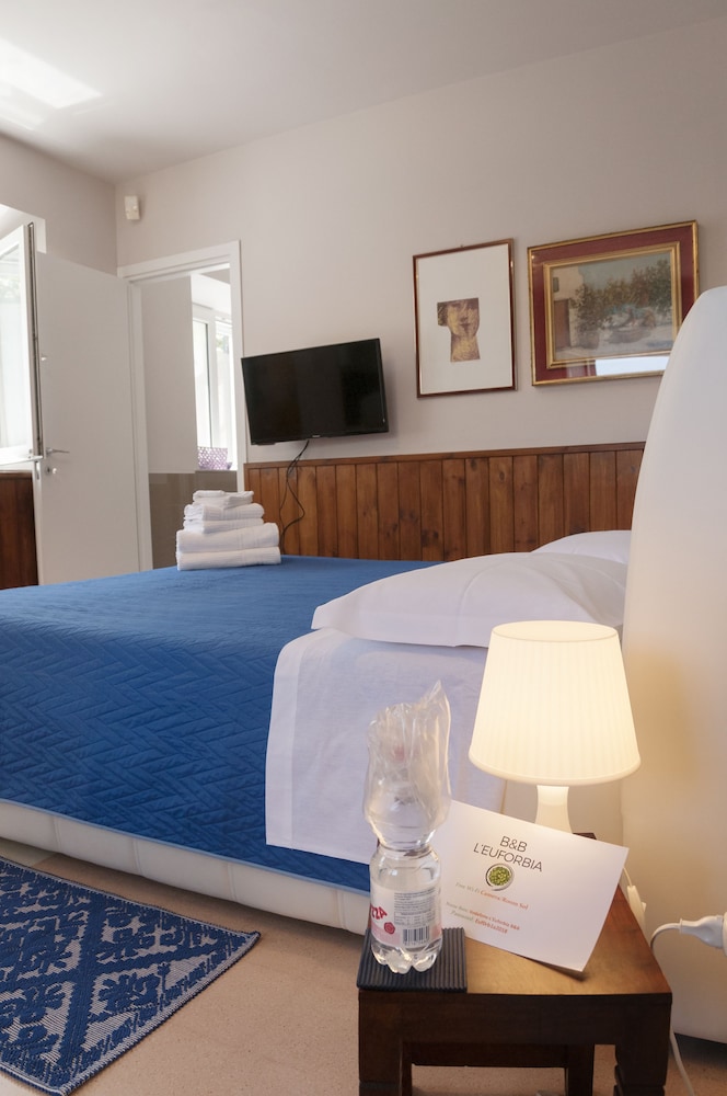 L'Euforbia Bed and Breakfast