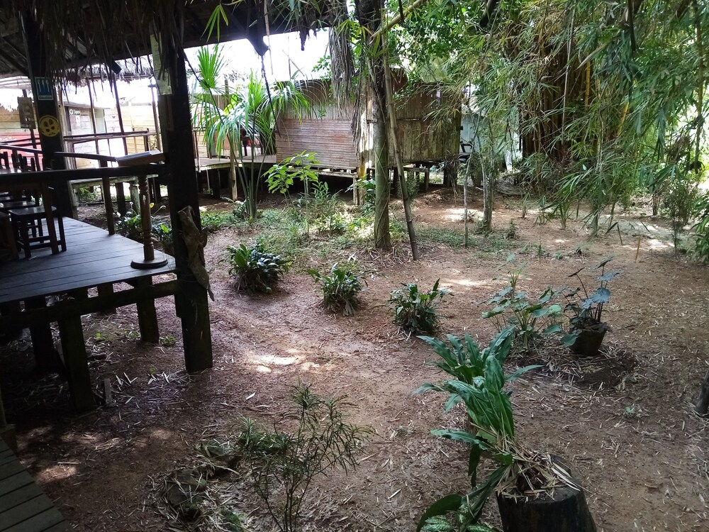 Photo 45
