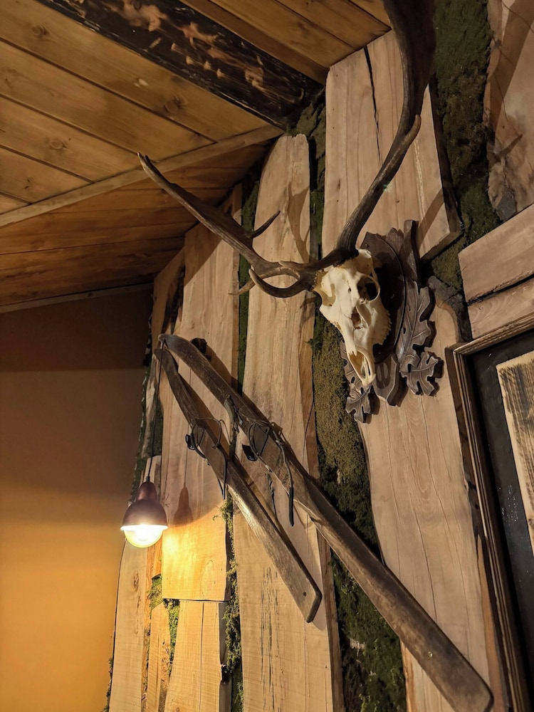 The Forest Villa Borovets1
