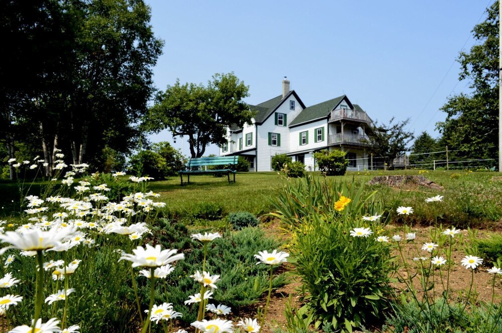 Still Point Lodge & Cottages