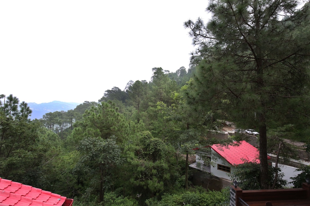 OYO 9308 Home Valley View 2 BHK Villa Near Kasauli