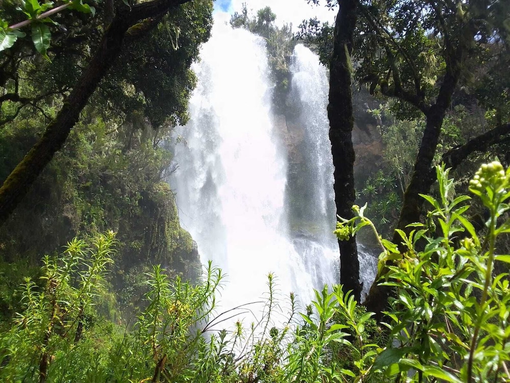 Blue Zone Kenya Resorts and Game Drives