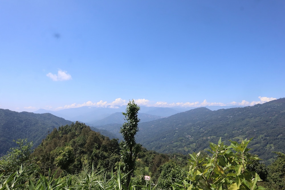 Penuel Homestay