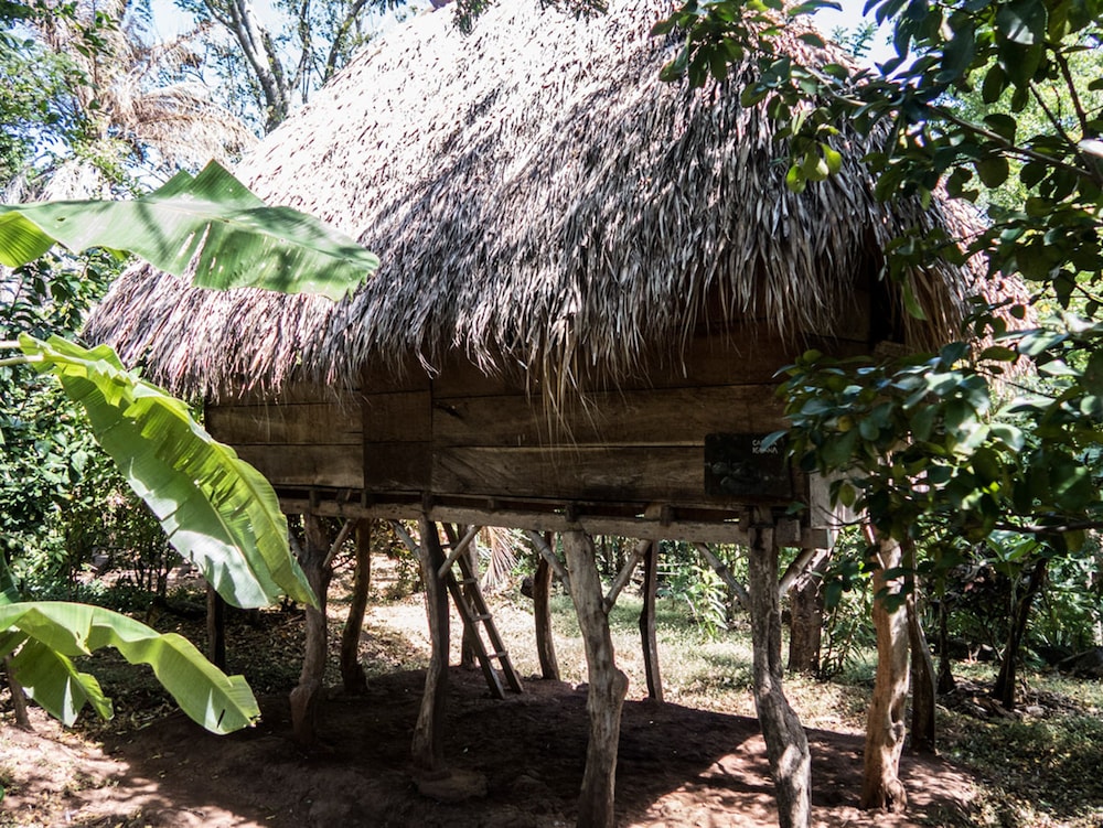 El Zopilote - Hostel