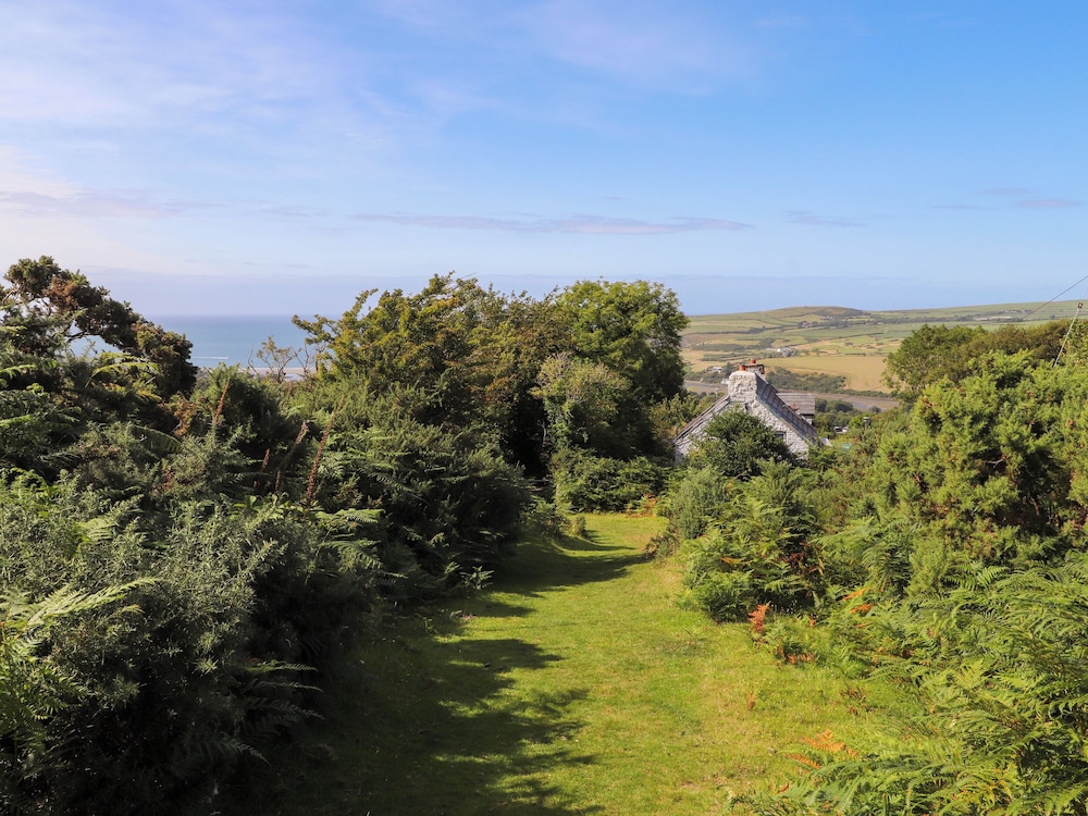 Penfeidr Newydd