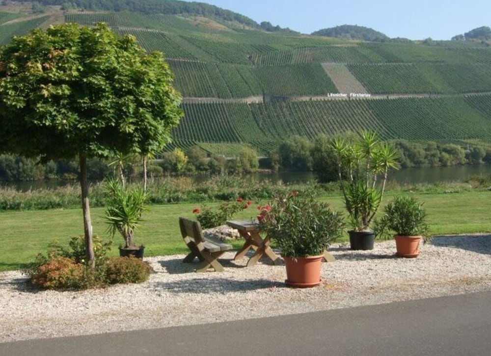 Holiday Apartment Moselle Beach 1