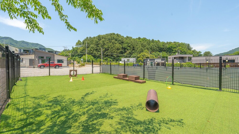 Gapyeong Dingdongdaeng Pet&spa Poolvilla view 3