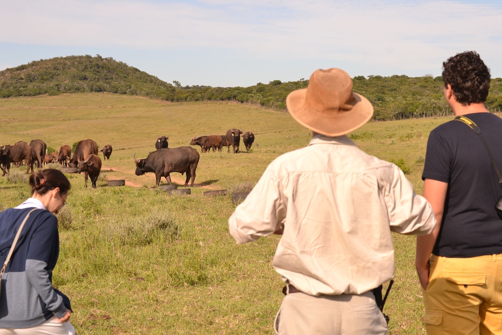 Elephants Lodge - Bellevue Forest Reserve