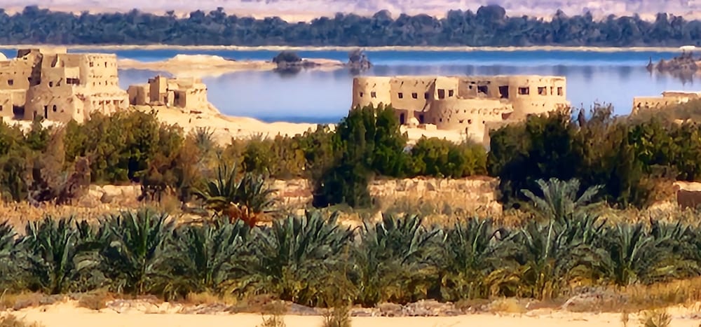 Beit Dina