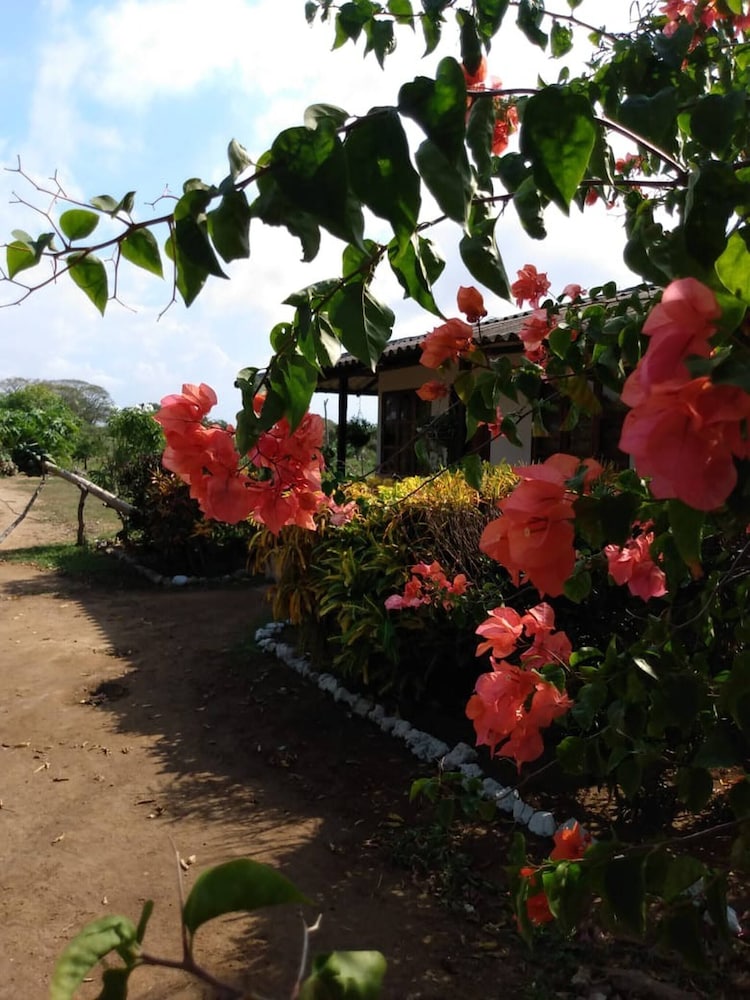 Cabaña De Descanso, Isla De Barú - Cartagena - Rest Cabin, Baru Island -bolivar