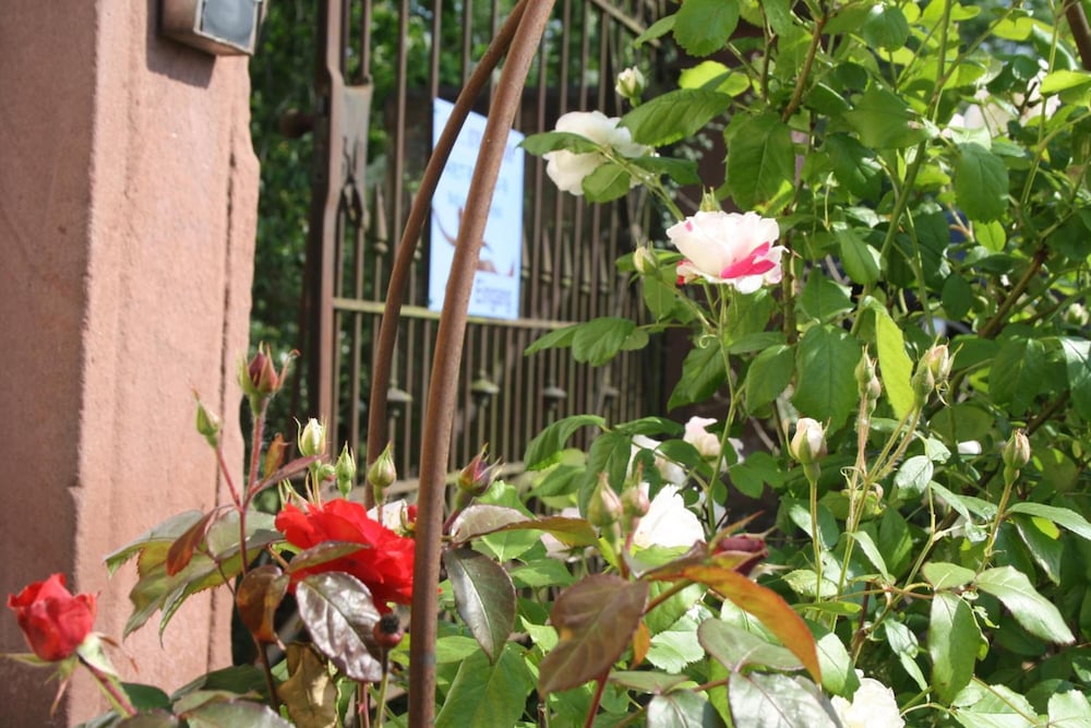 Photo 25