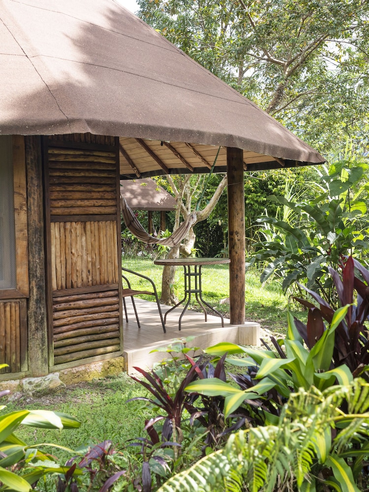 Huasquila Amazon Lodge view 5