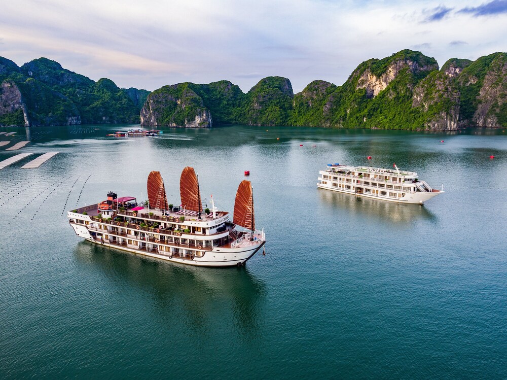 Alisa Premier Cruise