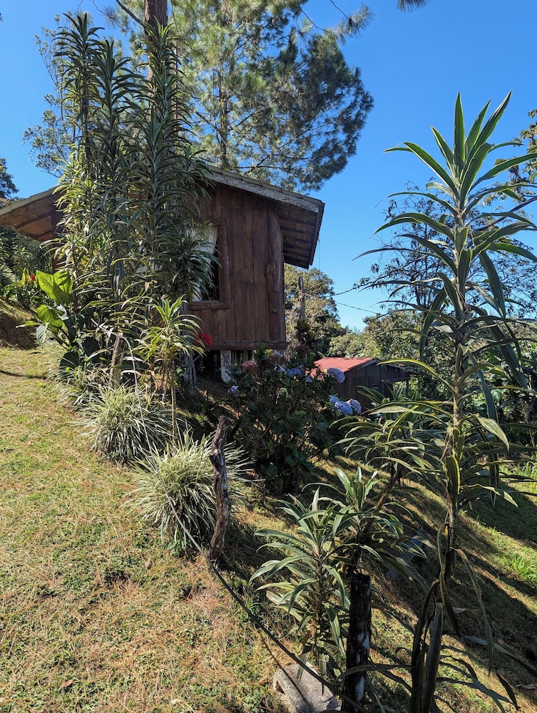 Campos de Oro Wilderness Lodge