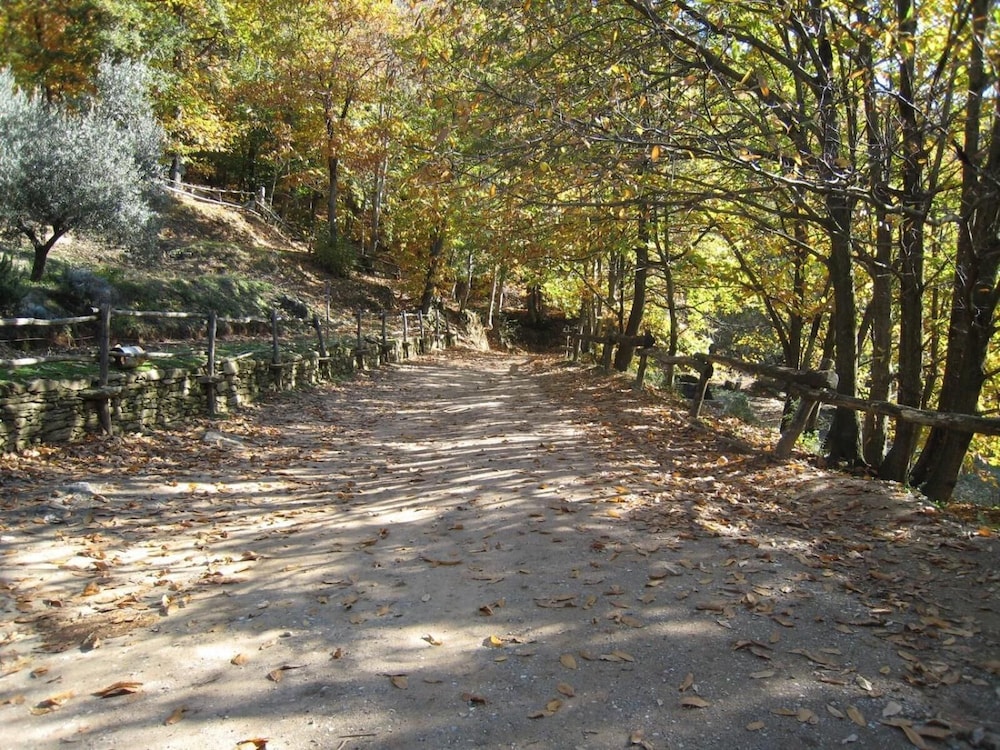 Centro Trekking A Cavallo Monte Brugiana, photo 37