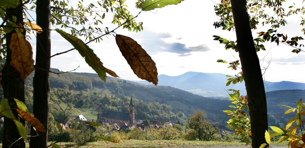 Les Gites La Cerisaie, Billede 13
