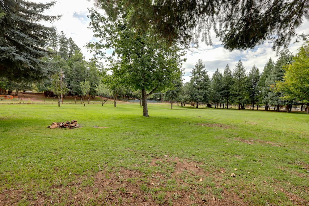Rustic Pine Retreat w/ Fenced 1-acre Yard - Property Image 1