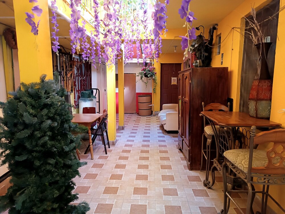 Photo 42