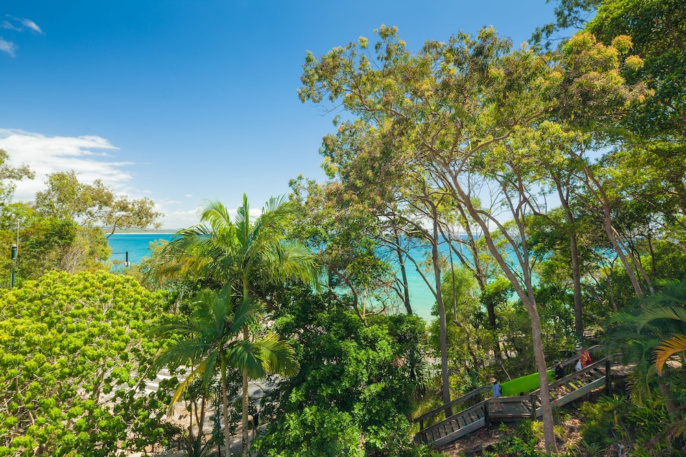 Little Cove Court