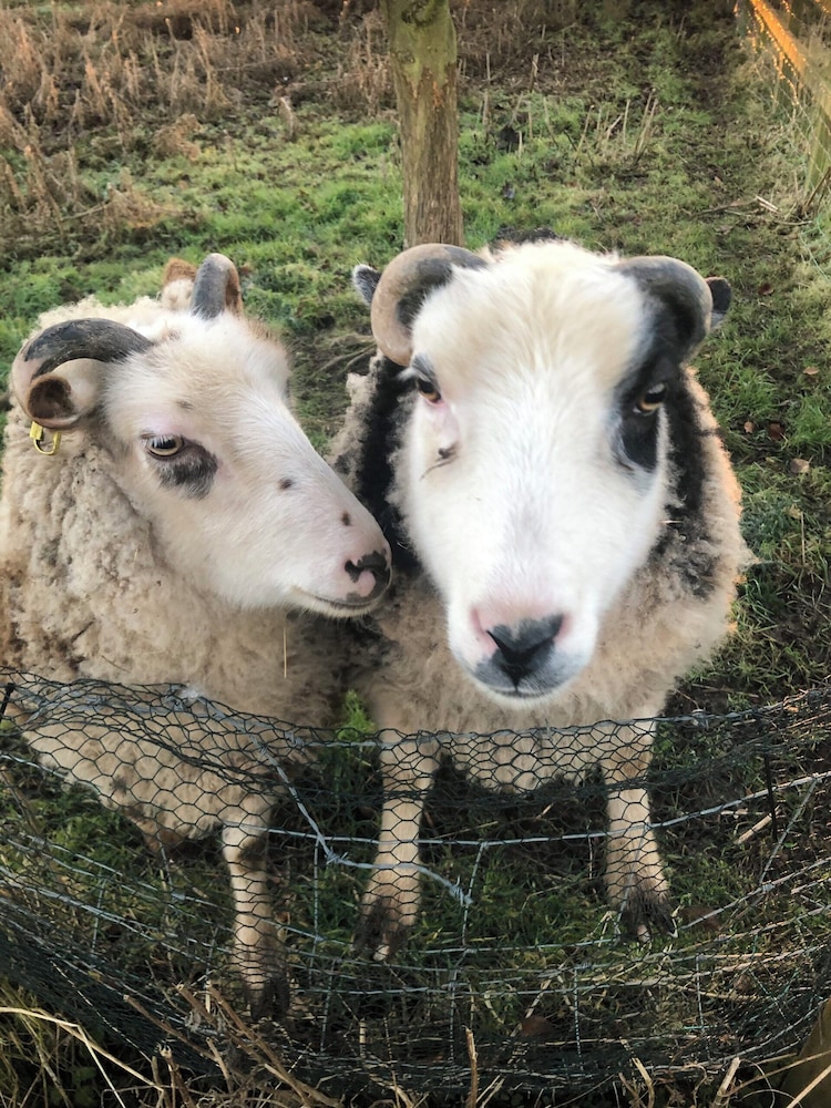 Elm Tree Farm Bed & Breakfast