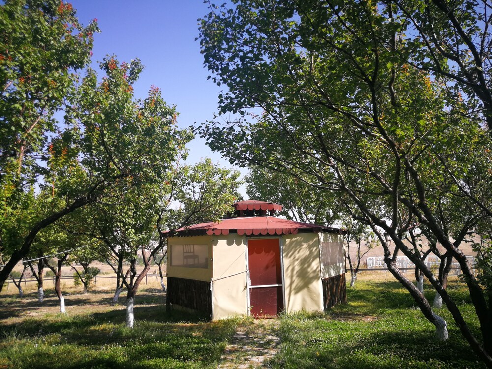 Photo 42