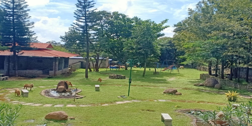 Photo 19